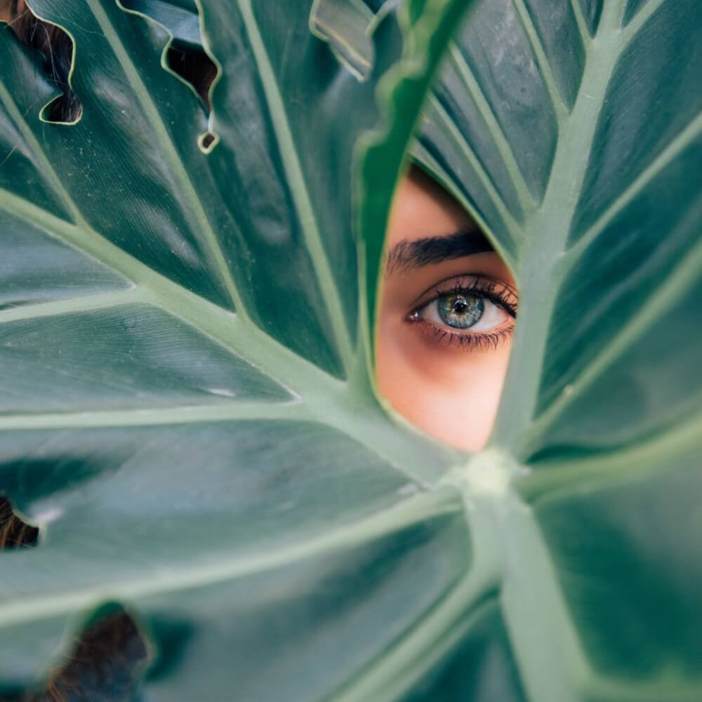 Auge hinter großen grünen Blättern